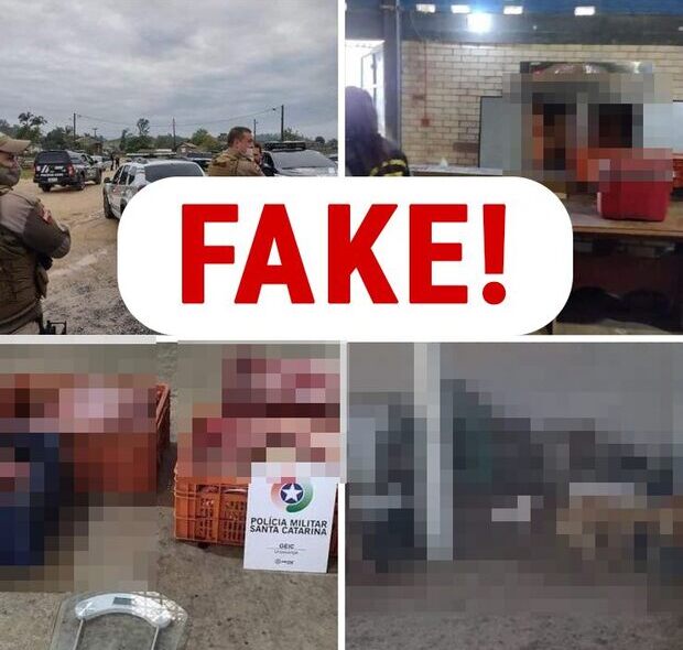 Fake News: É falsa a informação que um abatedouro clandestino em Luiz Alves estaria produzindo linguiça com carne de cachorro
