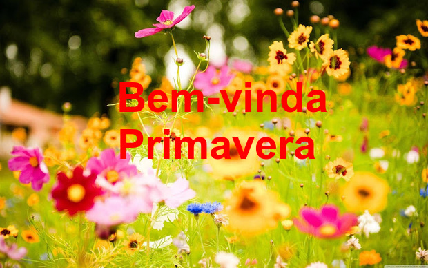 Estação das flores: Primavera inicia oficialmente hoje às 16h21