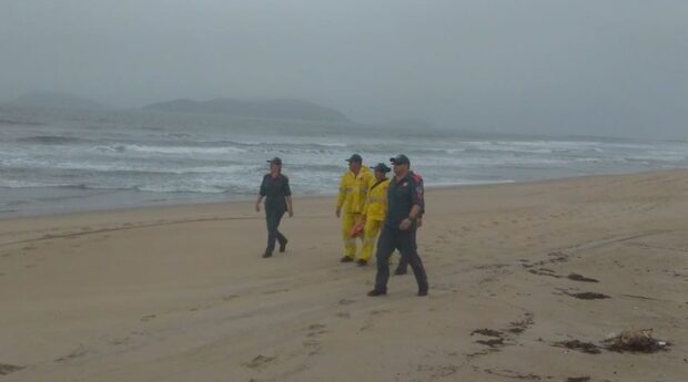 São Francisco do Sul: Corpo de jovem é encontrado por equipe de biólogos da Univille