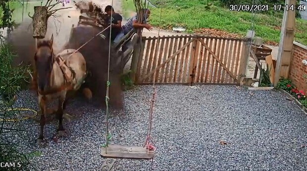 Faltou freio: Carroça desgovernada invade quintal de residência em Balneário Barra do Sul após cavalo se perder na curva