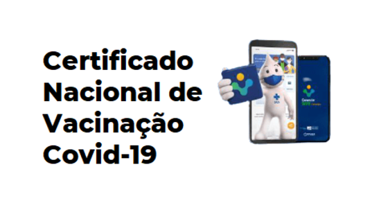 Certificado Nacional de Vacinação pode ser tirado via online