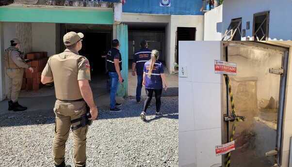 Penha: Vigilância Sanitária lacra empresa clandestina de manipulação de pescados e apreende cerca de 1 tonelada de produtos irregulares