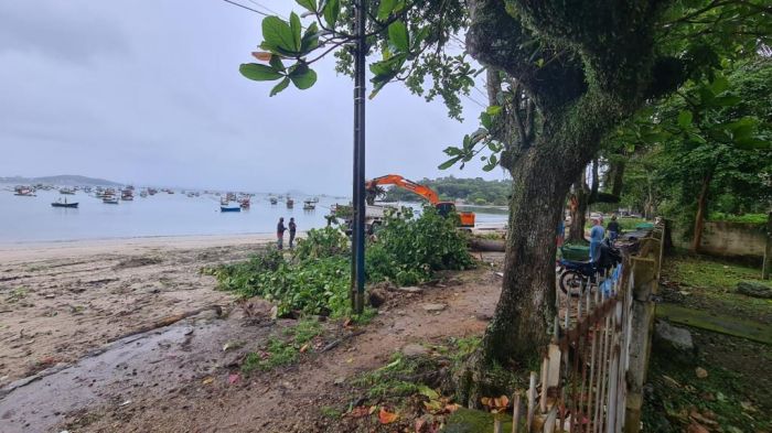 Penha: Justiça suspende corte de árvores e obra de prolongamento da Avenida Elizabeth Konder Reis na praia de Armação do Itapocorói