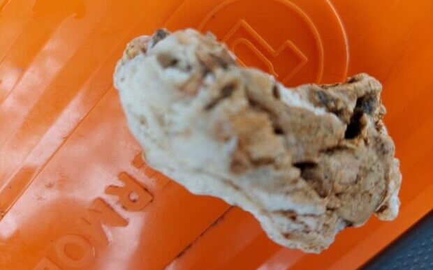 Penha: “Vômito de baleia” milionário pode ter sido encontrado em praia do Poá