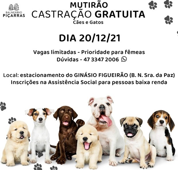 Balneário Piçarras promove castração gratuita de cães e gatos no dia 20