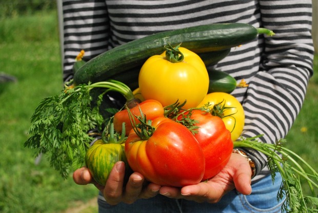 Balneário Piçarras: Cerca de 100 famílias serão beneficiadas com cestas básicas de produtos da agricultura familiar local