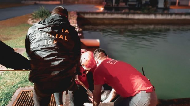 Oportunidade: Inscrições do concurso do IGP para o cargo de auxiliar médico-legal vão até o dia 27