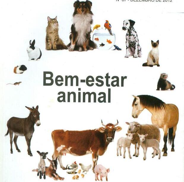 Penha: Câmara aprova criação do Conselho e Fundo Municipal do Bem-estar Animal