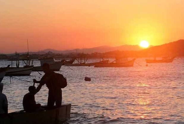 AMFRI: Colegiado da Agricultura e Pesca realiza reunião para alinhar estratégias do Programa SC Mais Pesca