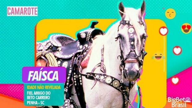 Penha: Cavalo Faísca do Beto Carrero participa da estreia do Reality Show Big Brother na Globo