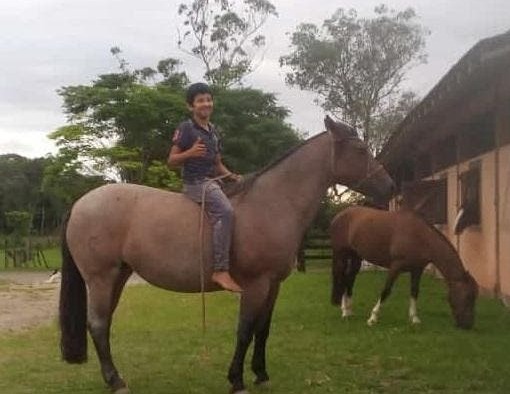 Joinville: Menino de 12 anos morre após levar coice de égua em CTG