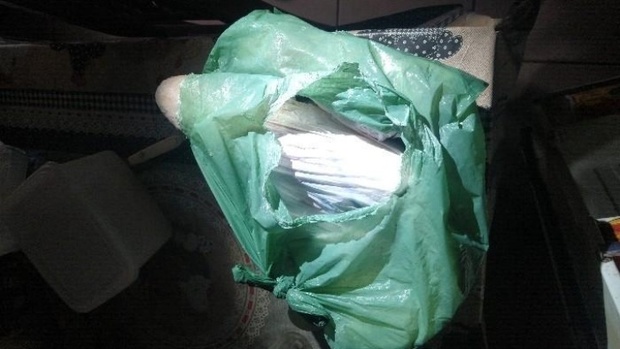 Maria da Penha: “Namorido” agride mulher com saco de peixe congelado em Porto Belo