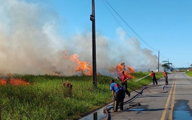 Araquari: Incêndio florestal destrói mais de 4 mil quadrados de mata no Morro Grande