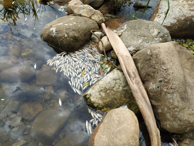 Garuva: Rio São João está contaminado por alumínio e enxofre após acidente