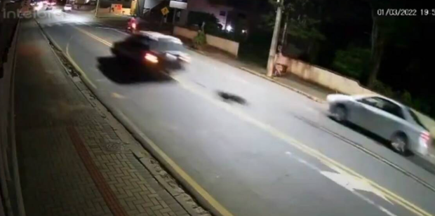 Maus-tratos: Motorista que arrastou cão amarrado ao carro é preso preventivamente