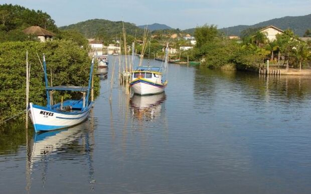 Aquaman – Algemado se joga no rio após ser preso em barco de pesca no rio Piçarras