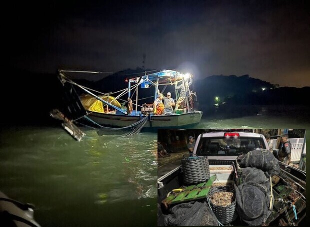 Balneário Piçarras - Polícia Ambiental apreende 40 quilos de camarão pescados ilegalmente e seis redes de arrasto