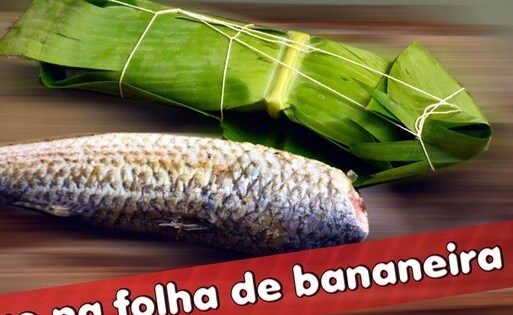 Prepare a folha de bananeira: Pesca da tainha é liberada em Santa Catarina