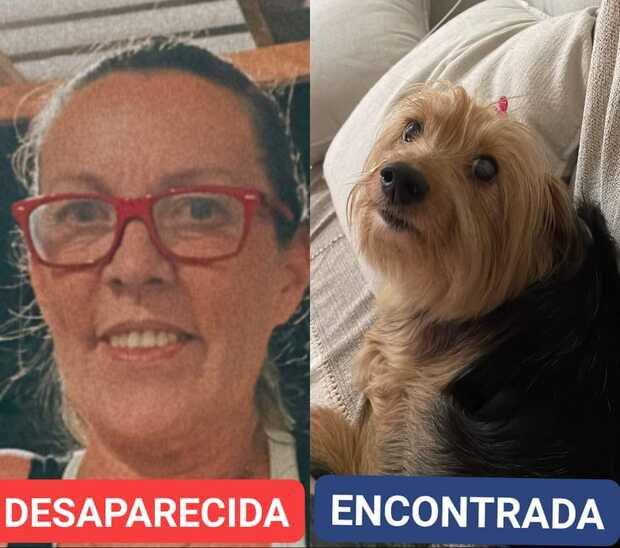 Veículo e cachorrinha de moradora de Balneário Piçarras desaparecida desde o dia 6 são encontrados em Guaratuba (PR)