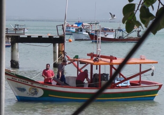 Fraudes - Pescadores artesanais pedem rigor contra a falsificação