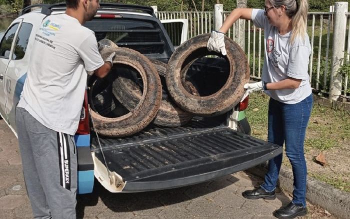 Alerta - Balneário Piçarras registra 49 casos de dengue