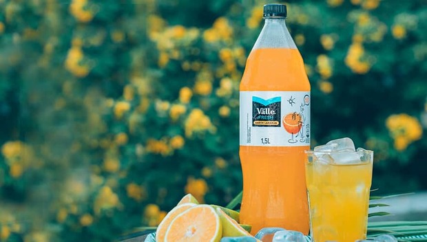 Venda de produtos Del Valle Fresh volta a ser proibida em SC