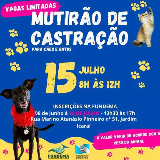 Barra Velha – Inscrições para o Mutirão de Castração de Animais vão até o dia 6 de julho