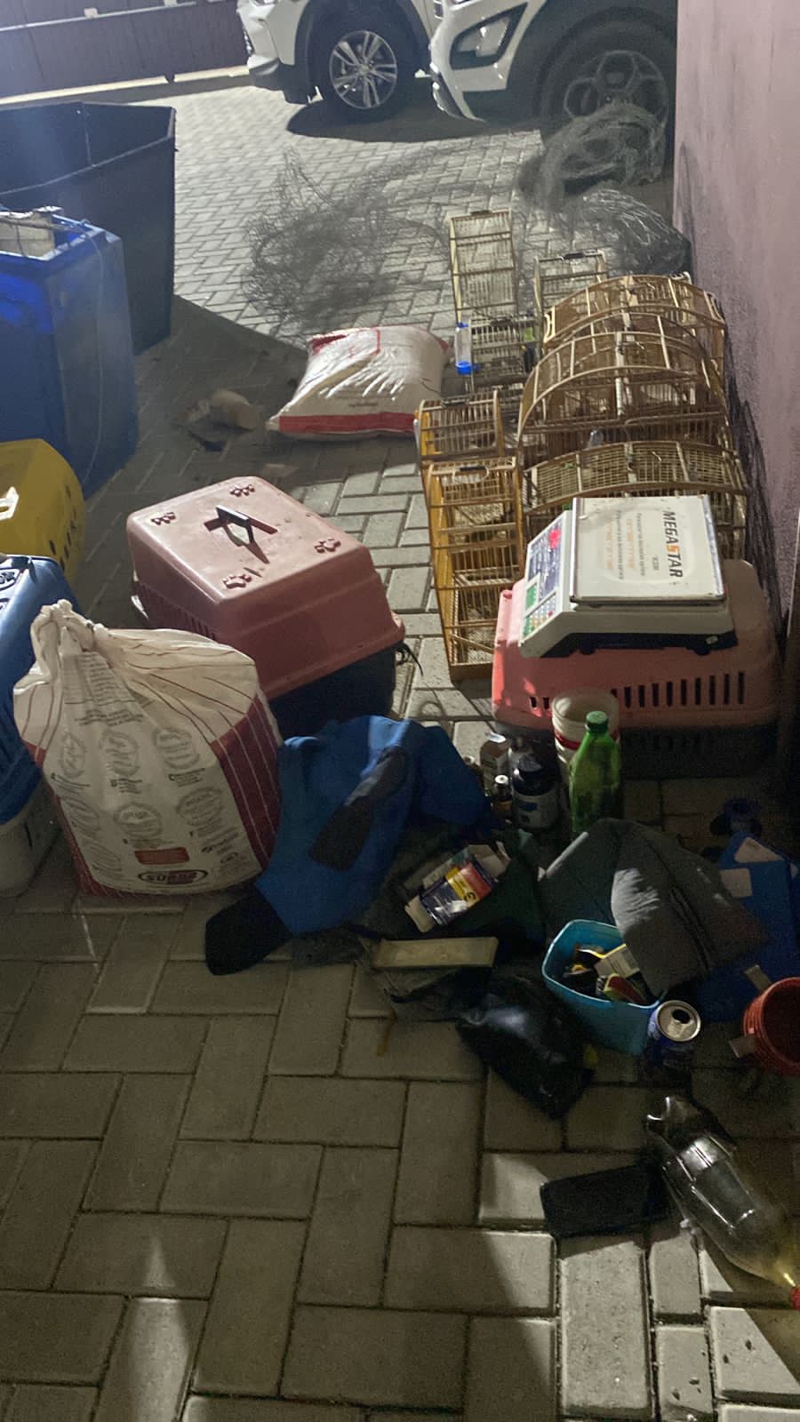 Itapema - Rinha de Galos é flagrada no bairro Morretes e 22 apostadores foram autuadas por crime ambiental