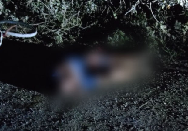 Balneário Piçarras - Homem morto com tiro na nuca é encontrado em marginal da BR-101 no bairro Bela Vista