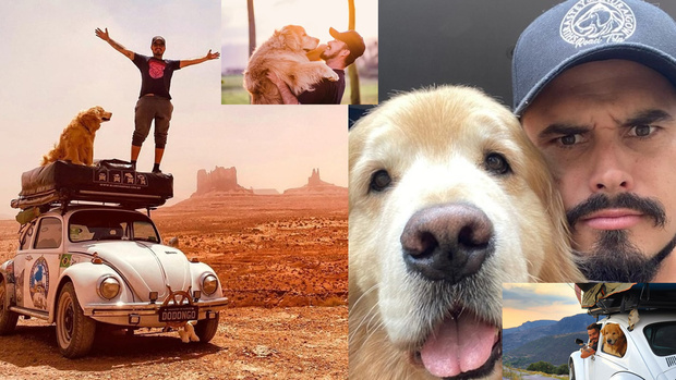 Cinzas do cão Shurastey que morreu nos Estados Unidos chegam em SC