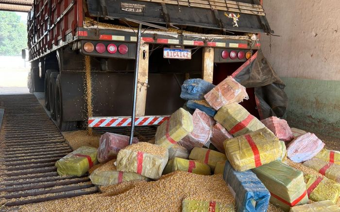 No meio do milho - PF apreende cinco toneladas de maconha em caminhão que vinha pra Joinville