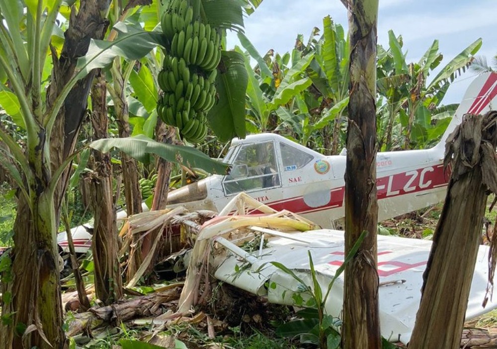 No bananal: Avião de pequeno porte cai em plantação de bananas em Corupá