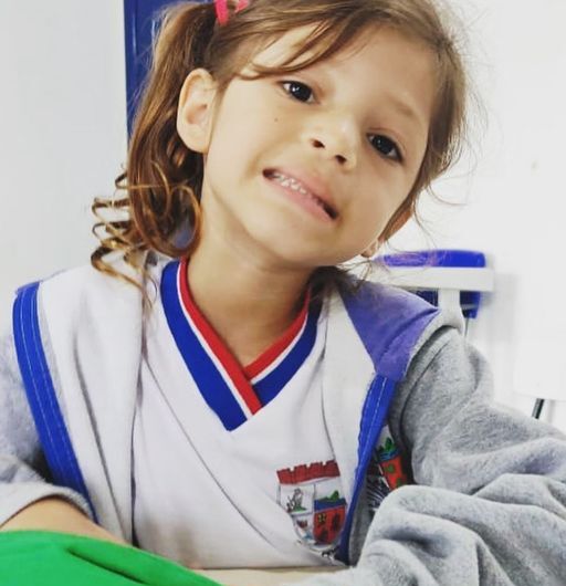 Penha – Menina de 5 anos morre ao cair de balanço e ser atingida por tronco de árvore no bairro Santa Lídia