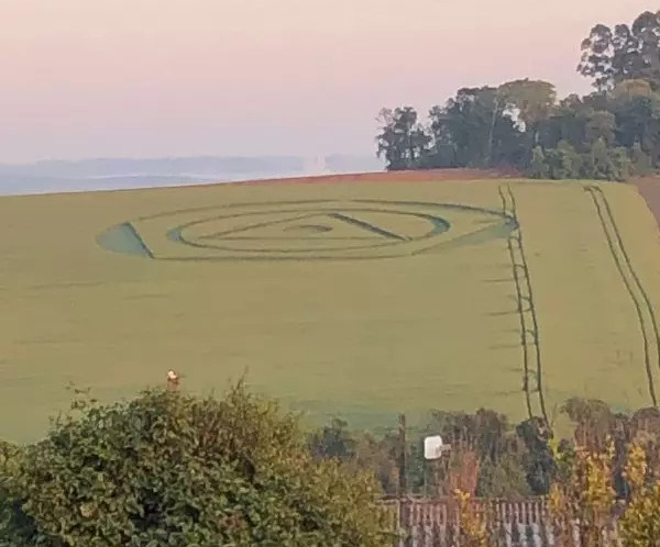Agroglifos - Marcas misteriosas aparecem em plantação de trigo no Oeste de SC