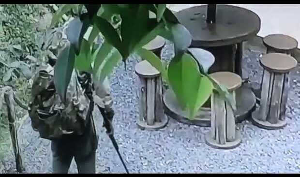 Penha - Homem usando roupas camufladas e armado é visto em mata na região dos morros do Gravatá e praia de São Miguel