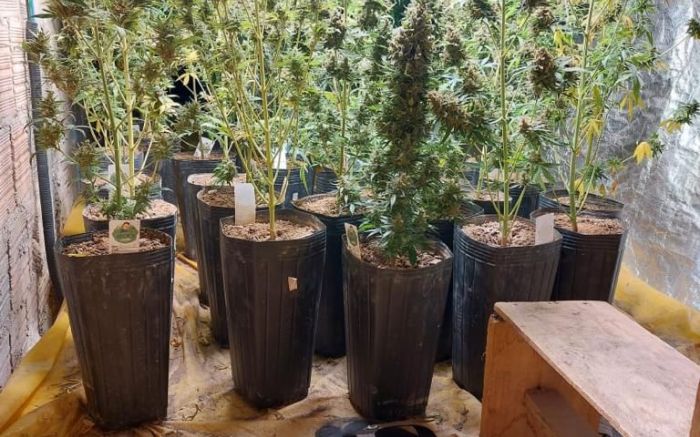 Operação Vapor - Polícia desmantela traficantes que usavam redes sociais para o tráfico de drogas