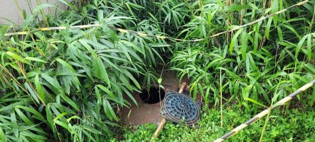 Joinville - Feto é encontrado em caixa de passagem do esgoto no bairro Bucarein
