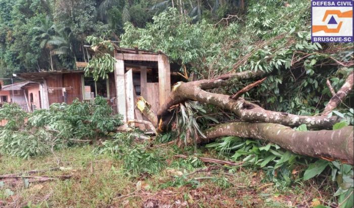 Chuvarada - Temporal causa estragos em Brusque com destelhamentos e queda de árvores