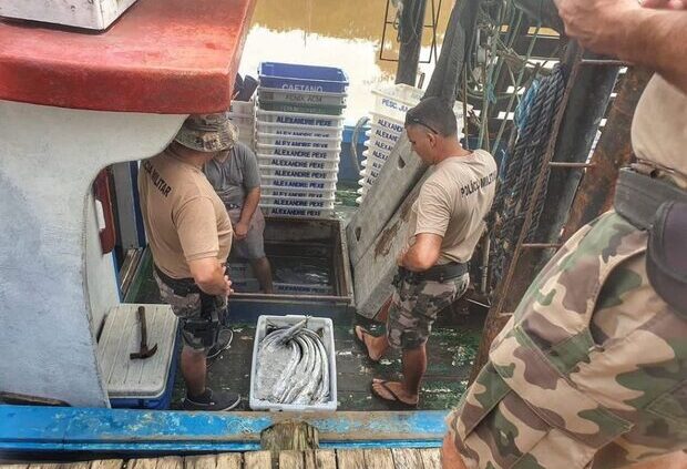 Pesca Irregular - Polícia Militar Ambiental apreende petrechos e 440 quilos de peixe-espada em Balneário Piçarras