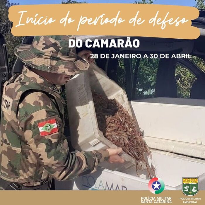Preservação - Inicia o período de defeso do camarão que vai até 30 de abril