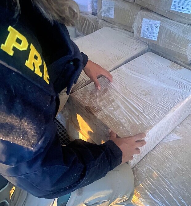 PRF apreende quatro toneladas de camarão argentino em B. Piçarras