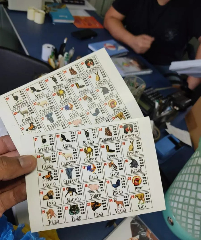 Deu Zebra na Cabeça - Operação mira em família responsável por do jogo do bicho em Blumenau e região