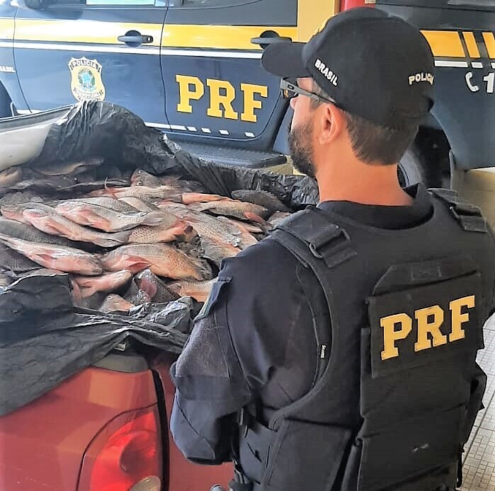 Barra Velha - Carga de peixe sendo transportada sem refrigeração é flagrada na BR-101