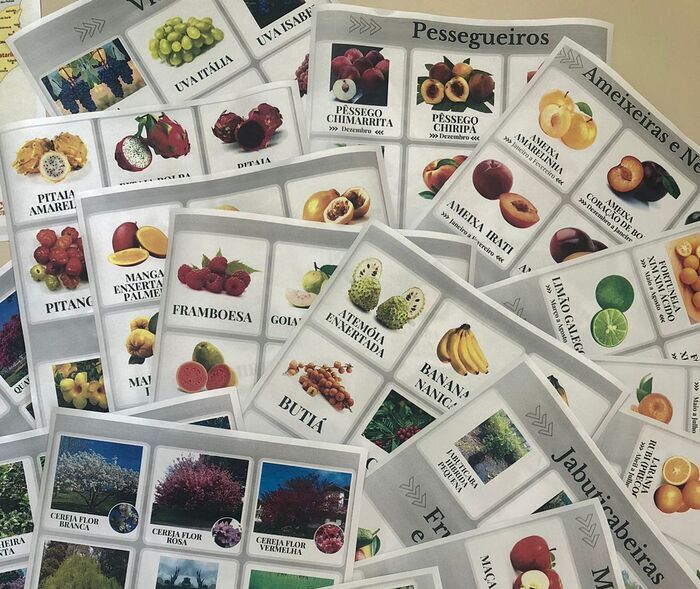 Balneário Piçarras - Secretaria de Agricultura disponibiliza mudas frutíferas e ornamentais