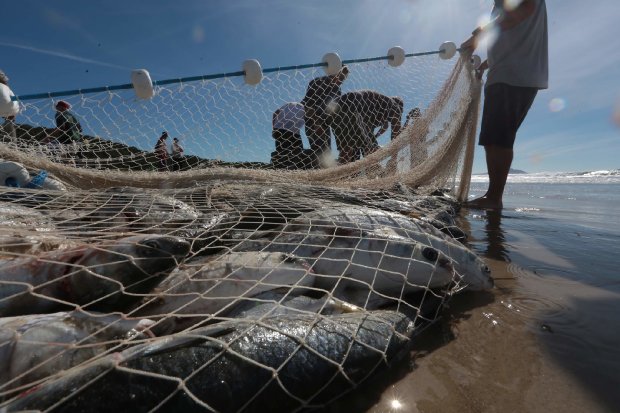 Coronavírus: Governo de SC autoriza a pesca de arrasto no litoral catarinense