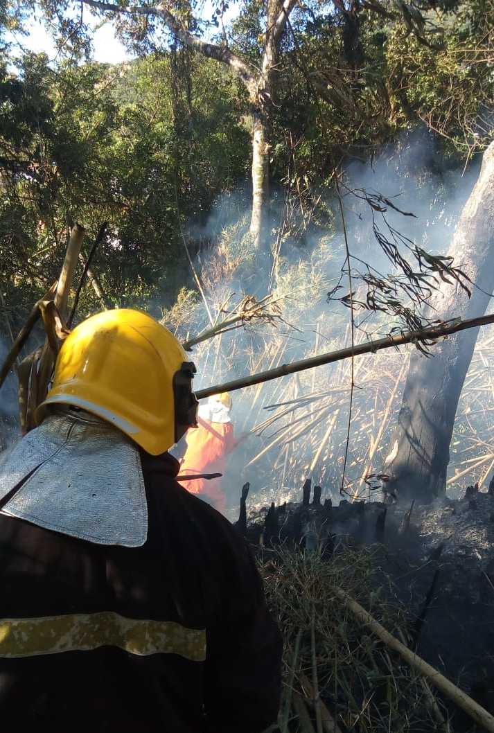 Penha: Incêndio no morro do Gravatá destrói mais de 300 metros quadrados de mata nativa