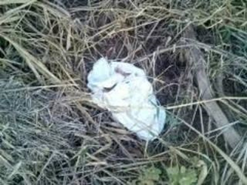 Itajaí - Feto abandonado por casal é encontrado em rua do bairro Paciência
