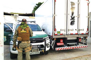 Navegantes: Ibama apreende cerca de 13 toneladas de camarão em operação de combate à pesca irregular