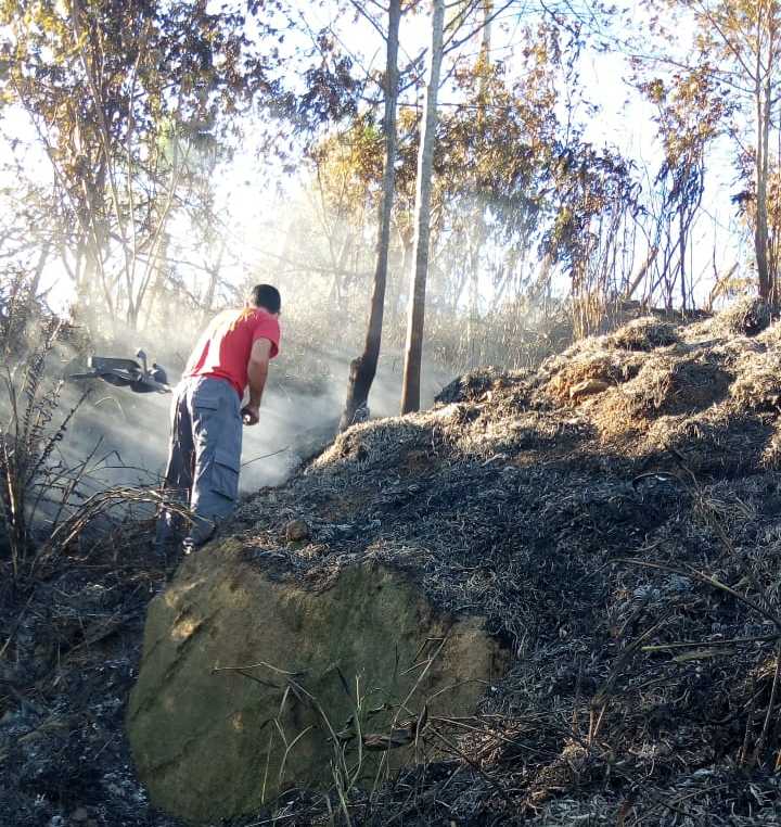 Penha: Incêndio destrói cerca de oito mil metros quadrados de vegetação em morro às margens da Rodovia Transbeto