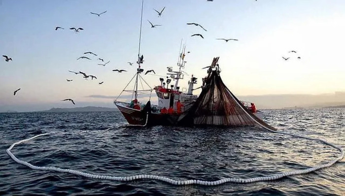 Tribunal nega recurso pra liberar a pesca industrial da tainha